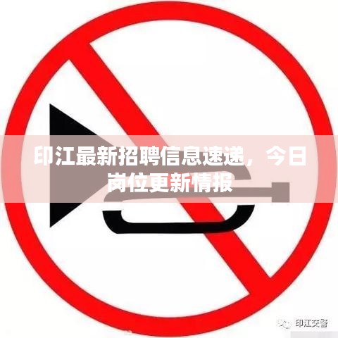 印江最新招聘信息速递，今日岗位更新情报