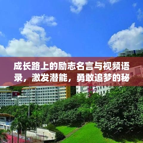 成长路上的励志名言与视频语录，激发潜能，勇敢追梦的秘诀！