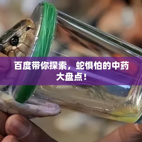 百度带你探索，蛇惧怕的中药大盘点！