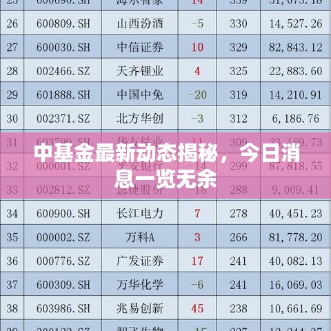 中基金最新动态揭秘，今日消息一览无余