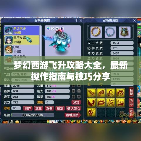 梦幻西游飞升攻略大全，最新操作指南与技巧分享