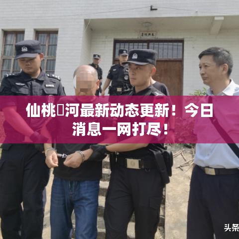 仙桃剅河最新动态更新！今日消息一网打尽！