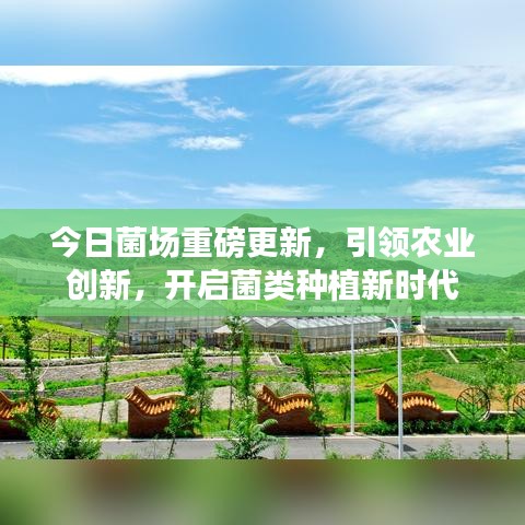 今日菌场重磅更新，引领农业创新，开启菌类种植新时代