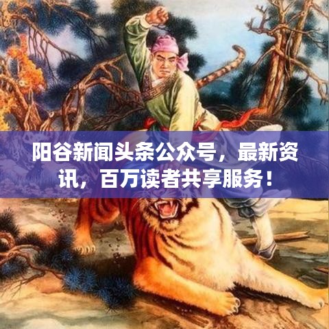 阳谷新闻头条公众号，最新资讯，百万读者共享服务！