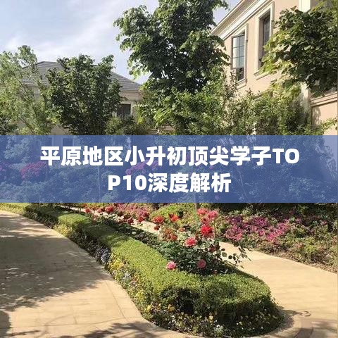 平原地区小升初顶尖学子TOP10深度解析