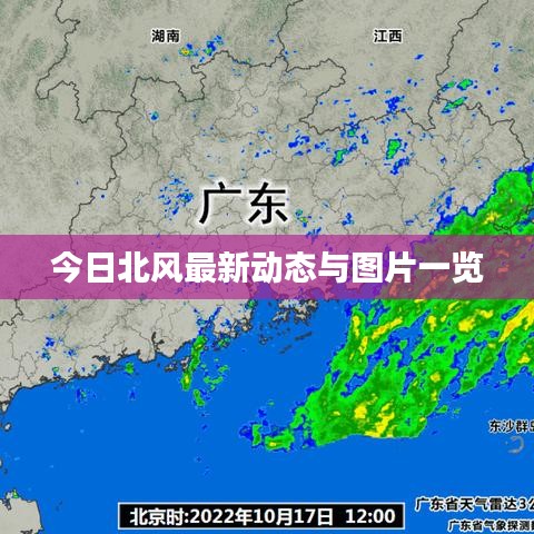 今日北风最新动态与图片一览