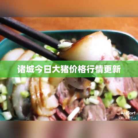 诸城今日大猪价格行情更新