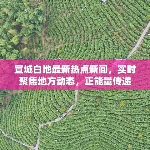 宣城白地最新热点新闻，实时聚焦地方动态，正能量传递
