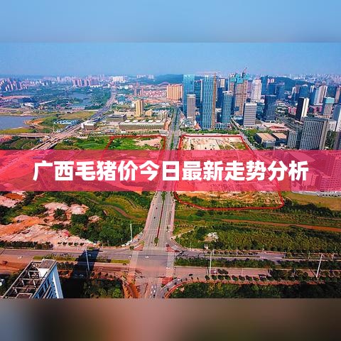 浅笑轻吟梦一曲 第2页