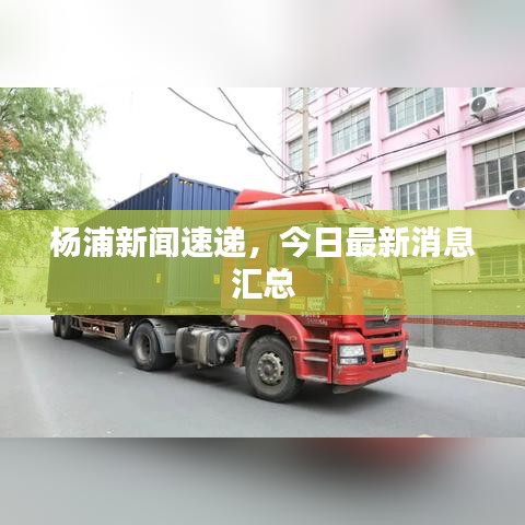 杨浦新闻速递，今日最新消息汇总