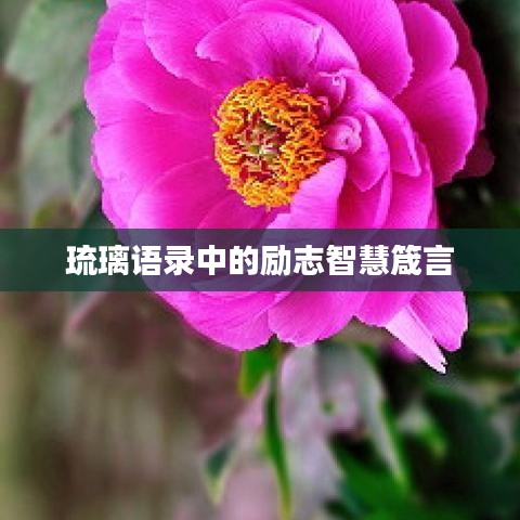 琉璃语录中的励志智慧箴言