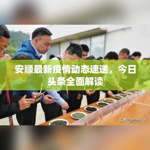安顺最新疫情动态速递，今日头条全面解读