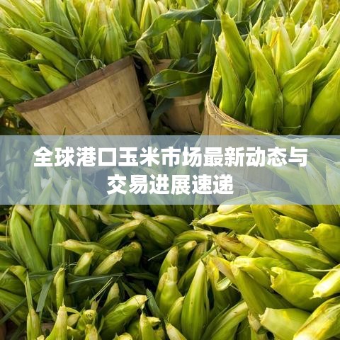 全球港口玉米市场最新动态与交易进展速递