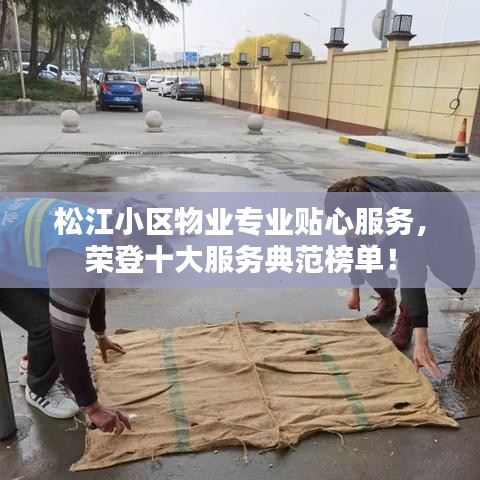 松江小区物业专业贴心服务，荣登十大服务典范榜单！