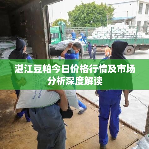 湛江豆粕今日价格行情及市场分析深度解读