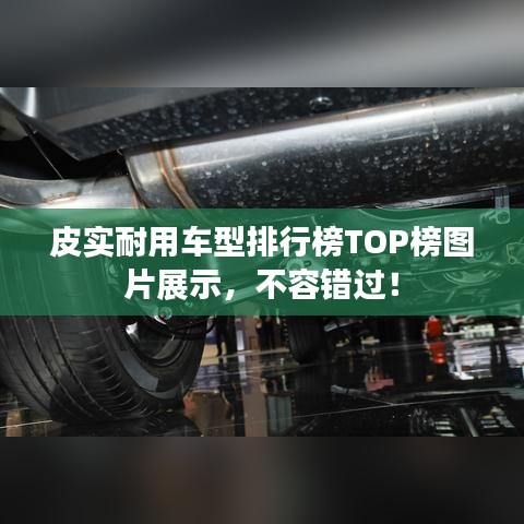 皮实耐用车型排行榜TOP榜图片展示，不容错过！