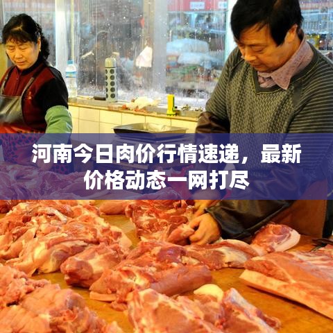 河南今日肉价行情速递，最新价格动态一网打尽