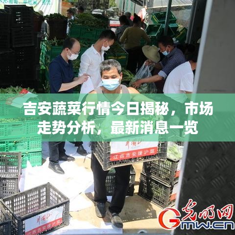 吉安蔬菜行情今日揭秘，市场走势分析，最新消息一览