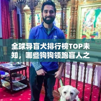 全球导盲犬排行榜TOP未知，哪些狗狗领跑盲人之友？