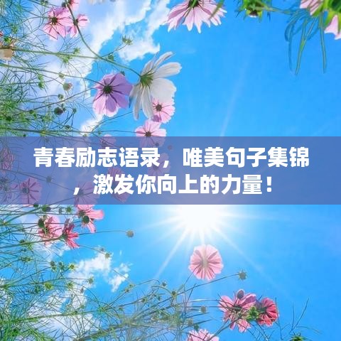青春励志语录，唯美句子集锦，激发你向上的力量！