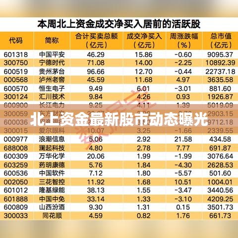 北上资金最新股市动态曝光