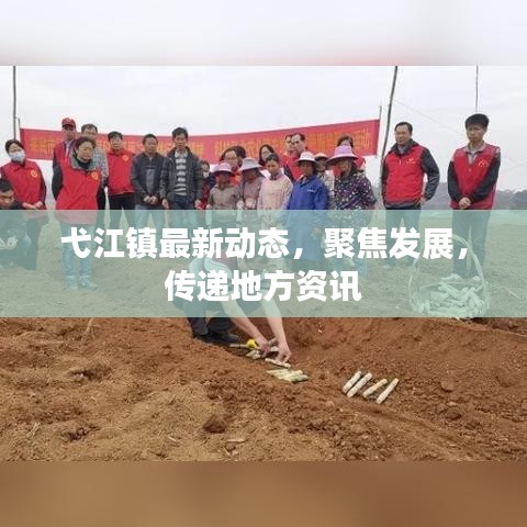 弋江镇最新动态，聚焦发展，传递地方资讯