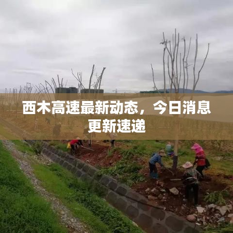 西木高速最新动态，今日消息更新速递