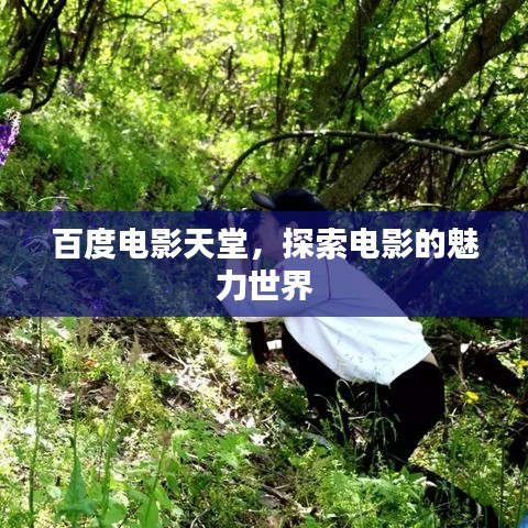 百度电影天堂，探索电影的魅力世界