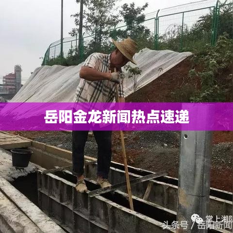 岳阳金龙新闻热点速递