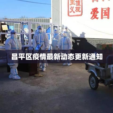 昌平区疫情最新动态更新通知