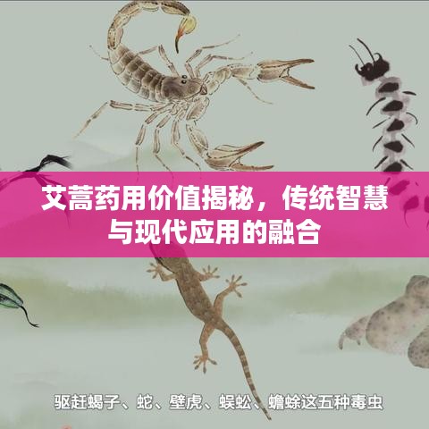 艾蒿药用价值揭秘，传统智慧与现代应用的融合