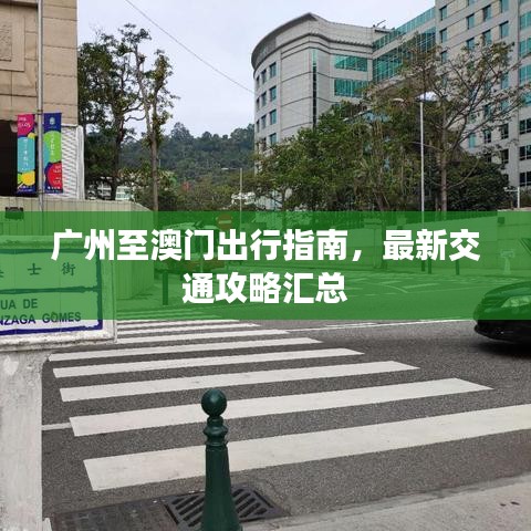 广州至澳门出行指南，最新交通攻略汇总