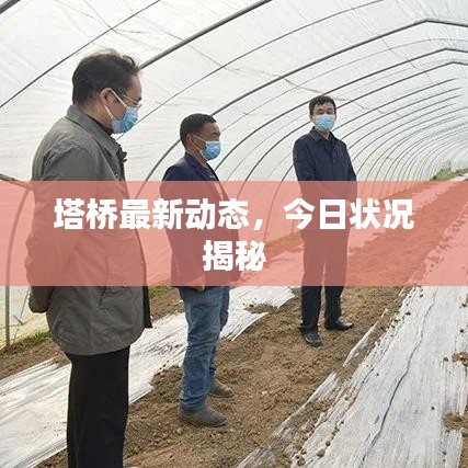 塔桥最新动态，今日状况揭秘