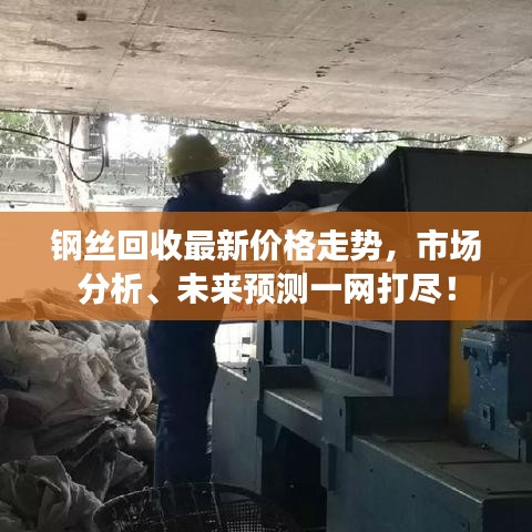 钢丝回收最新价格走势，市场分析、未来预测一网打尽！