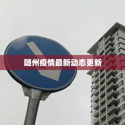 随州疫情最新动态更新