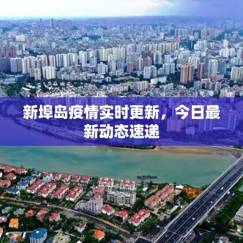 新埠岛疫情实时更新，今日最新动态速递