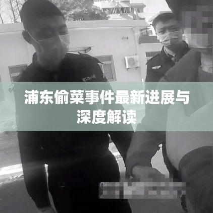 浦东偷菜事件最新进展与深度解读