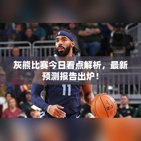 灰熊比赛今日看点解析，最新预测报告出炉！