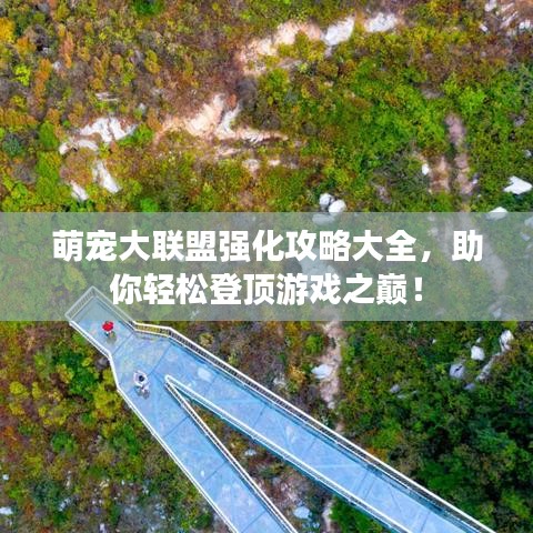 萌宠大联盟强化攻略大全，助你轻松登顶游戏之巅！