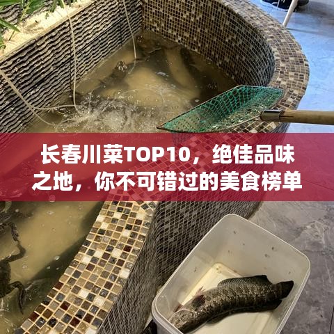 长春川菜TOP10，绝佳品味之地，你不可错过的美食榜单！