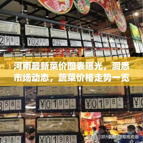河南最新菜价图表曝光，洞悉市场动态，蔬菜价格走势一览无余！