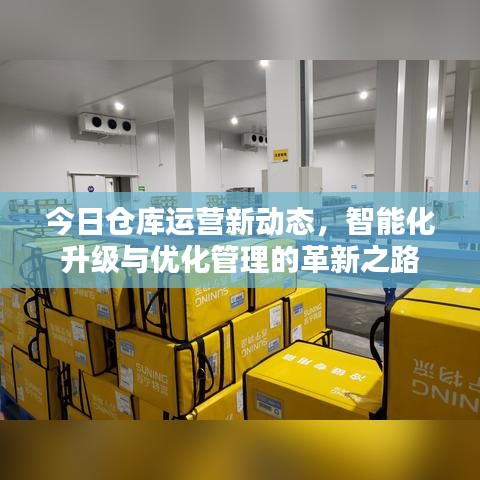 今日仓库运营新动态，智能化升级与优化管理的革新之路