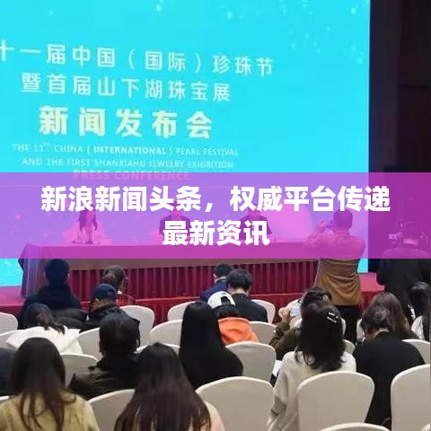新浪新闻头条，权威平台传递最新资讯