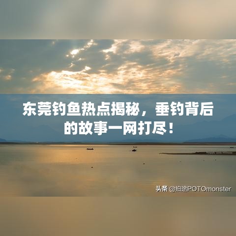 东莞钓鱼热点揭秘，垂钓背后的故事一网打尽！
