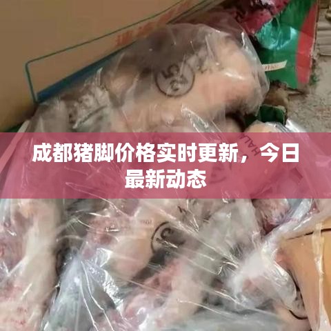成都猪脚价格实时更新，今日最新动态