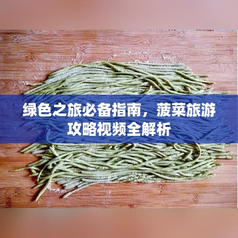 绿色之旅必备指南，菠菜旅游攻略视频全解析