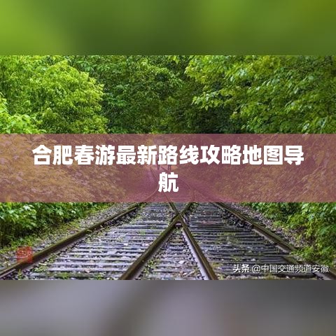 合肥春游最新路线攻略地图导航