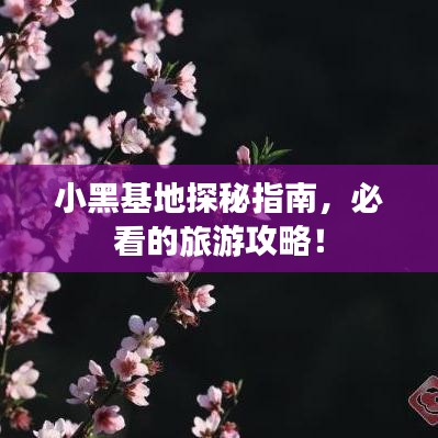 小黑基地探秘指南，必看的旅游攻略！