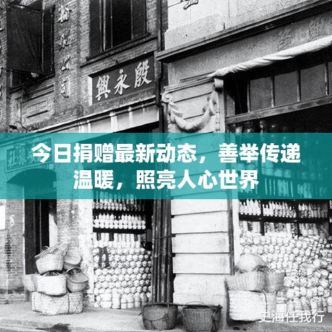 今日捐赠最新动态，善举传递温暖，照亮人心世界