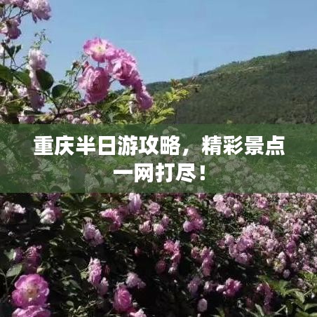 重庆半日游攻略，精彩景点一网打尽！